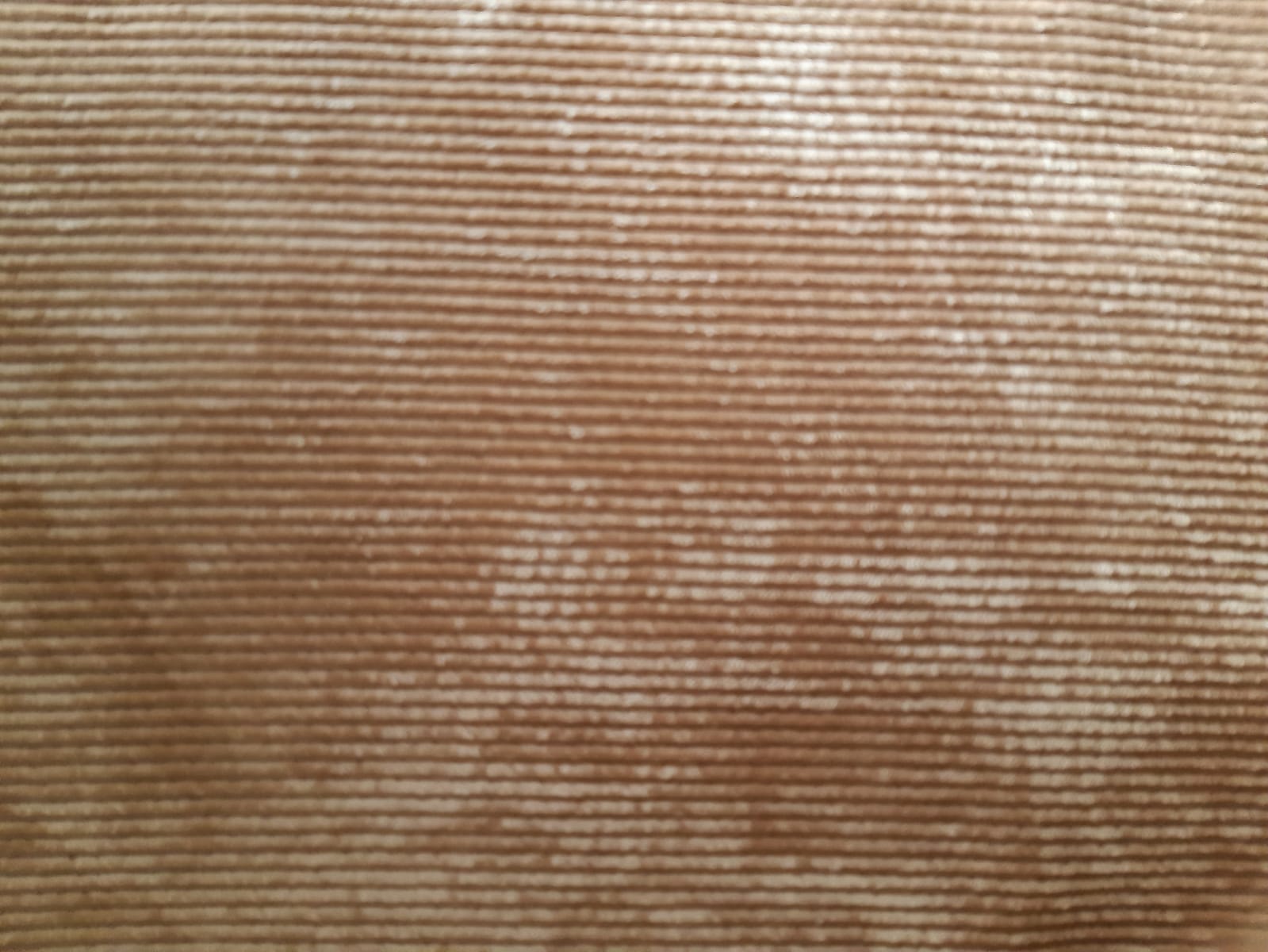 exterieur sherpa interieur velours les bobines de ganou 2